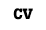 CV